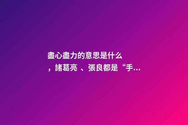 盡心盡力的意思是什么，諸葛亮、張良都是“手無縛雞之力”的謀士-第1張-觀點-玄機派